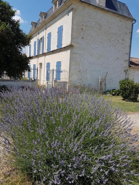 Le Domaine De Bellevue Acomodação com café da manhã Tanzac Exterior foto